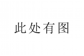 陇南企业清欠服务